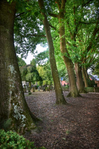 Strooiveld Catharinakerkhof Eindhoven